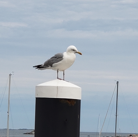 Meet your Poshers, Trish and Jim - Picture 6 of 8